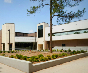 New Longview High School (Tomlinson Parkway)