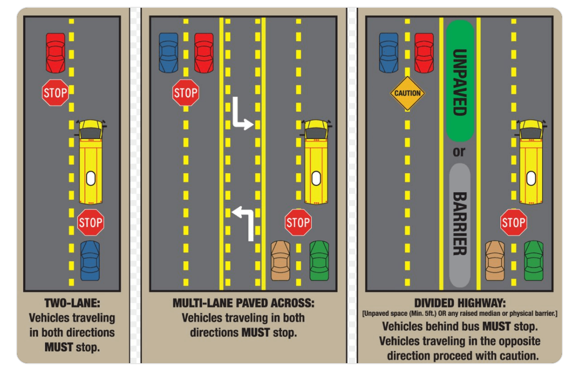 School Bus Safety graphic