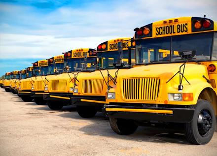 STOCK PHOTO School Buses Parked In Line.