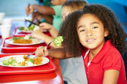 STOCK PHOTO - Child eating school lunch in cafeteria