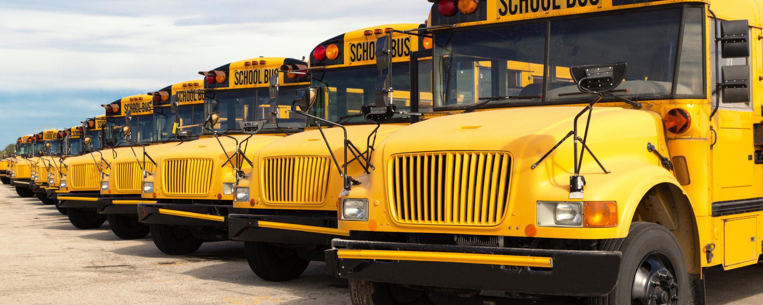 LISD School Buses